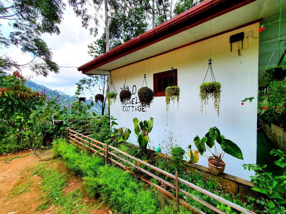 " Yolo " Lovely Cottage Ella Exterior foto