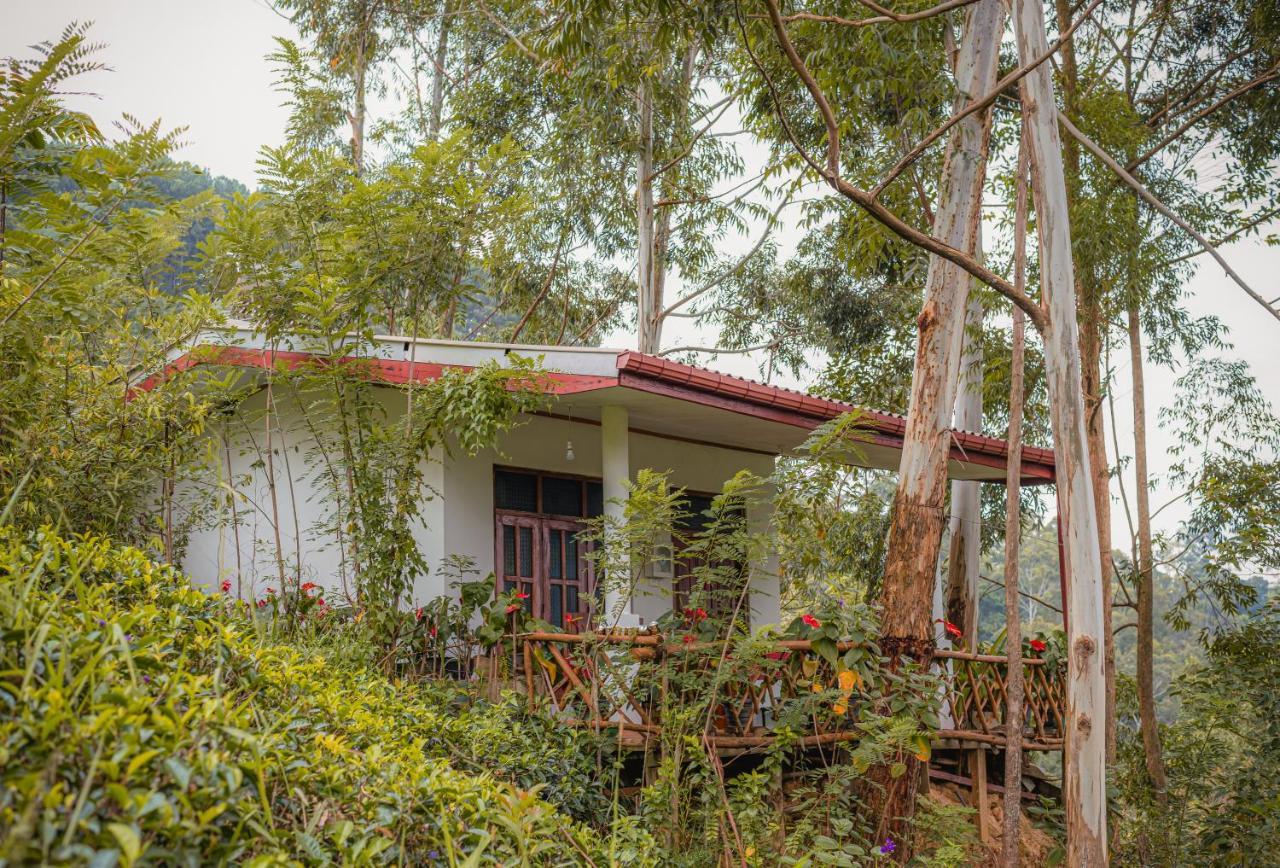 " Yolo " Lovely Cottage Ella Exterior foto