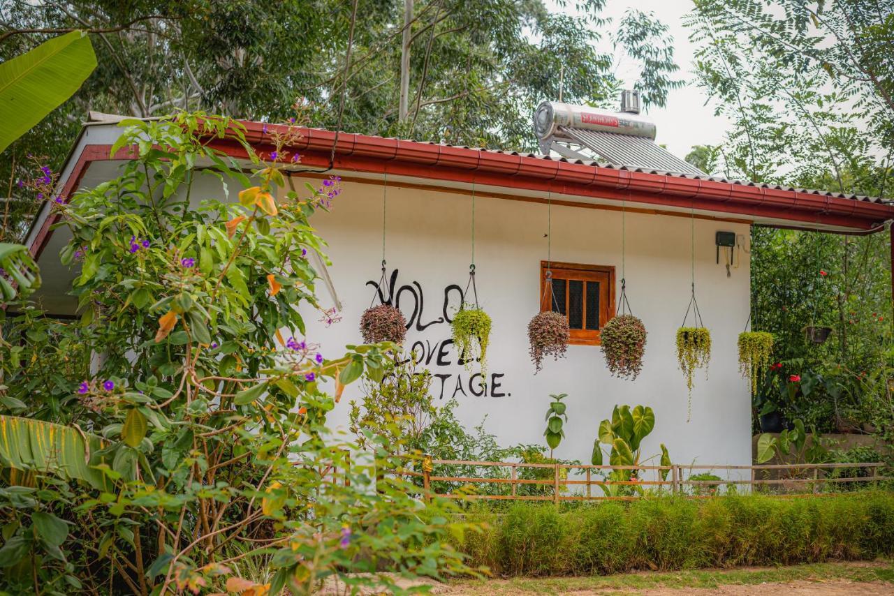 " Yolo " Lovely Cottage Ella Exterior foto