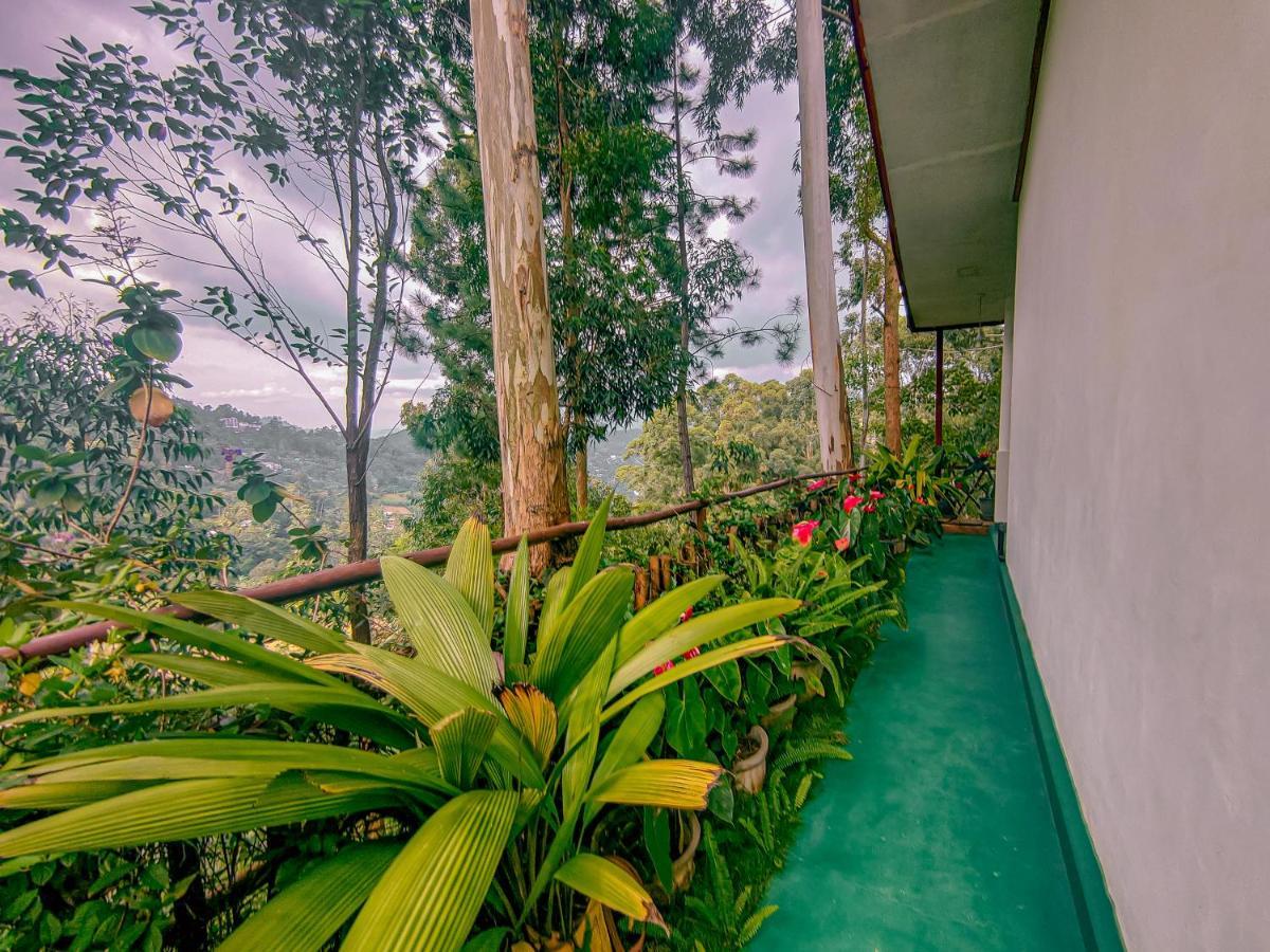 " Yolo " Lovely Cottage Ella Exterior foto